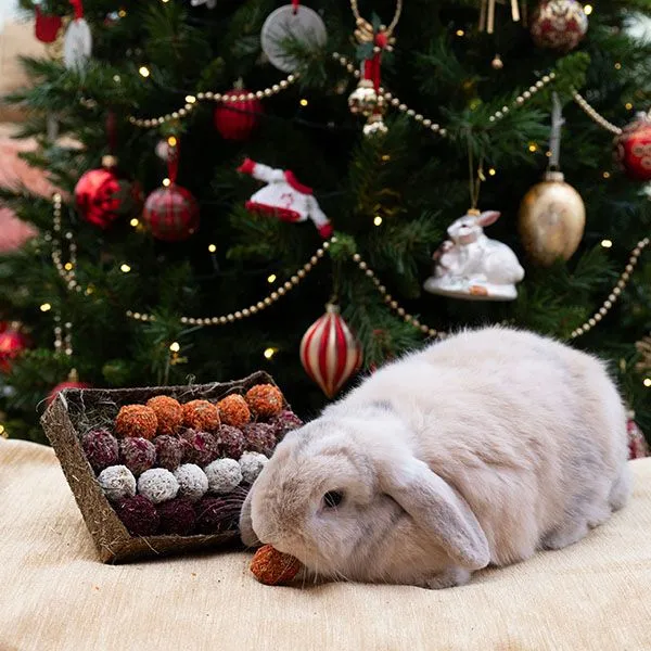24 Days of Christmas Gift n Forage Treat