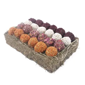 24 Days of Christmas Gift n Forage Treat