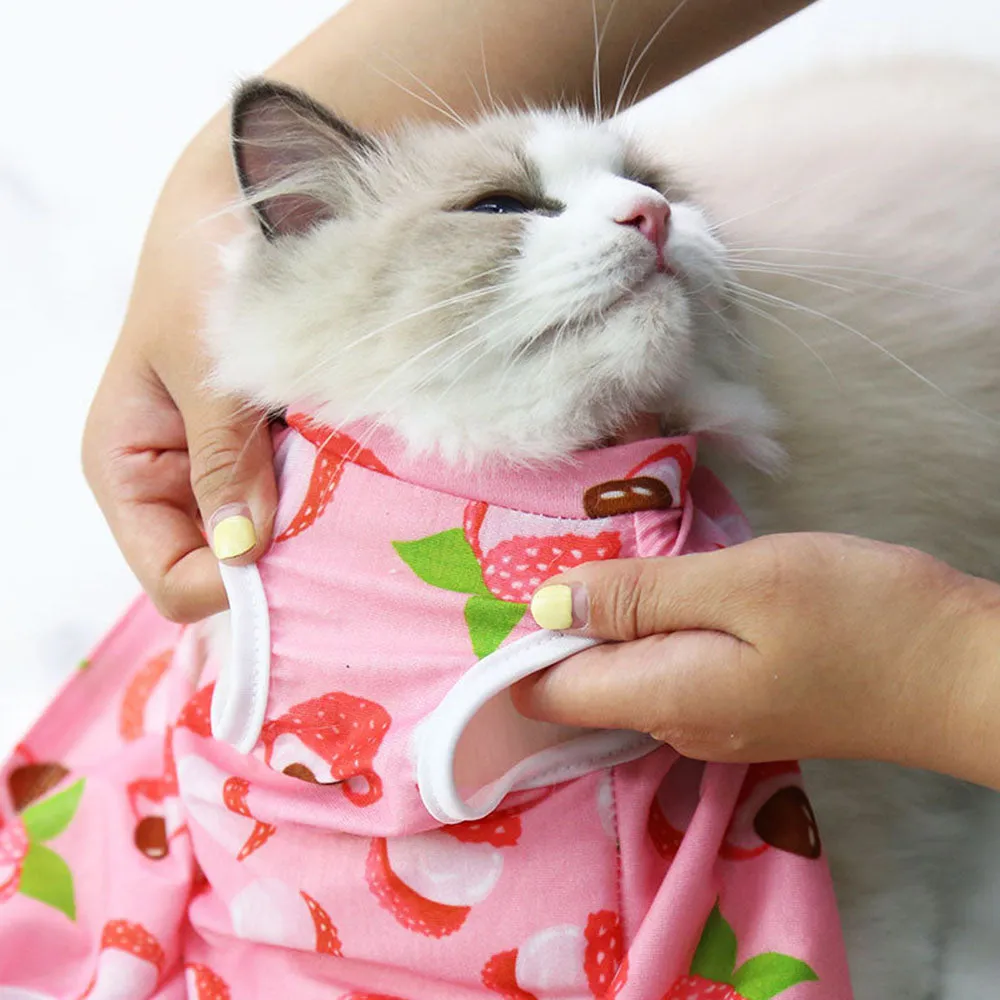 Anti-Licking Pet Surgery Suit