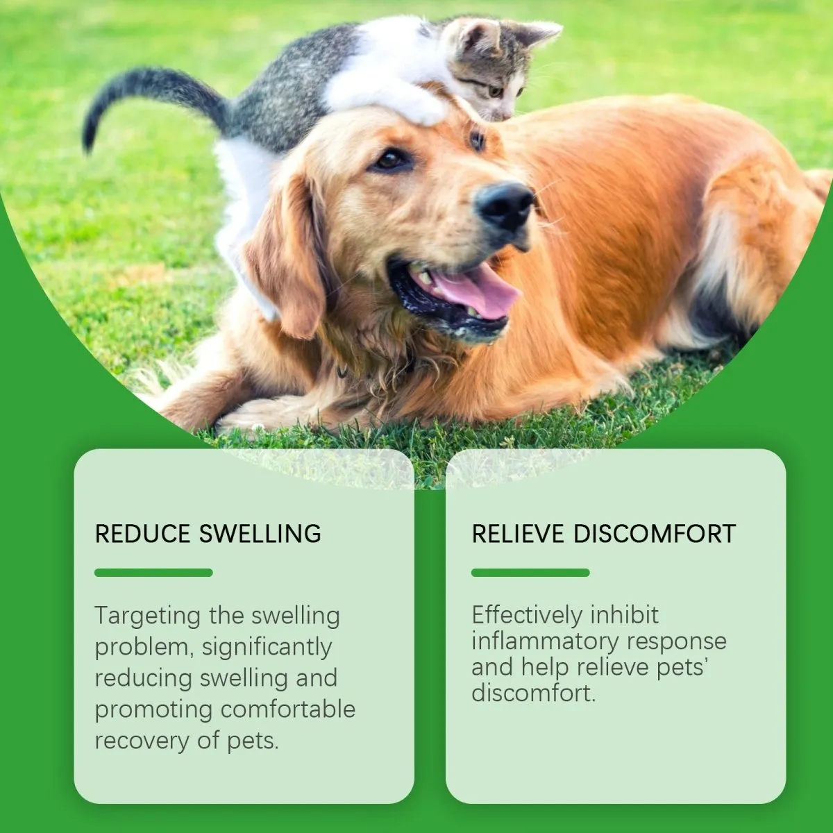 Cat And Dog Relieve- Skin Discomfort -Care Pet Care Spray